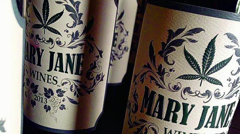 Winemakers in California have introduced a commercial marijuana-laced wine called Canna Vine. Winemakers in California have introduced a commercial marijuana-laced wine called Canna Vine.