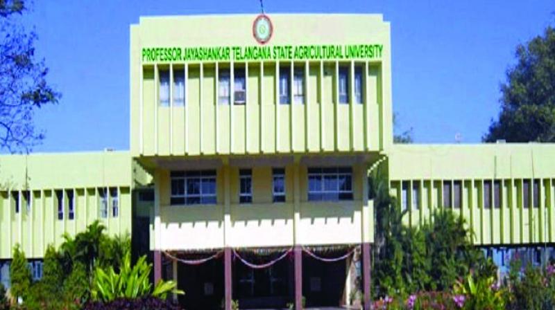 The university has equipped its health centre with a gym for the students and will be providing jogging and sports facilities. The university has equipped its health centre with a gym for the students and will be providing jogging and sports facilities.