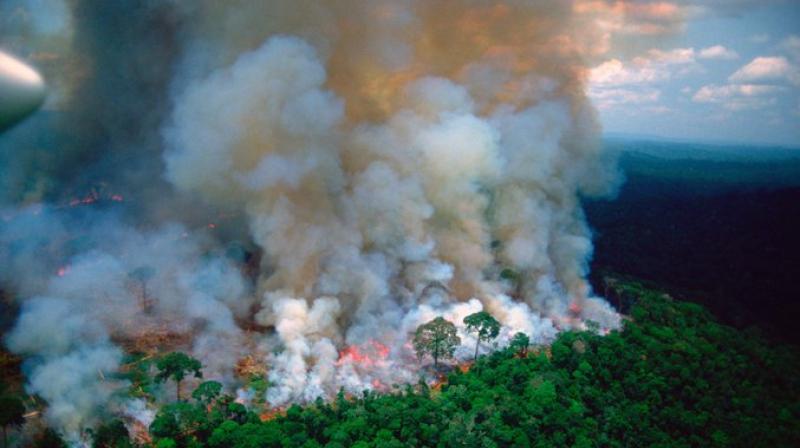 French President Emmanuel Macron on Thursday said wildfires in the Amazon were an 'international crisis' and called on this weekend's G7 to address the issue. (Photo: File) French President Emmanuel Macron on Thursday said wildfires in the Amazon were an 'international crisis' and called on this weekend's G7 to address the issue. (Photo: File)