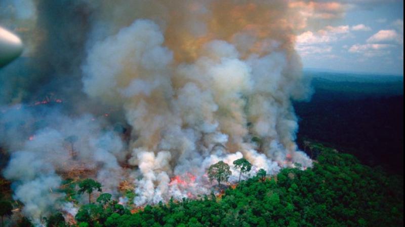 The thousands of fires burning in the Amazon don't look like the major forest fires of Europe or North America -- instead, they are fuelled mainly by branches, vegetation and other byproducts of deforestation in cleared areas, experts say. (Photo: File) The thousands of fires burning in the Amazon don't look like the major forest fires of Europe or North America -- instead, they are fuelled mainly by branches, vegetation and other byproducts of deforestation in cleared areas, experts say. (Photo: File)