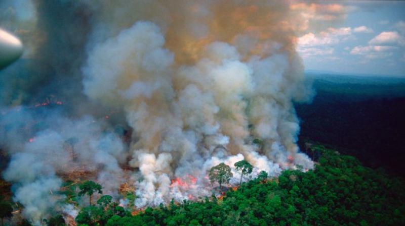 Leaders of the Group of Seven nations said Sunday they are preparing to help Brazil battle fires burning across the Amazon region and repair the damage even as tens of thousands of soldiers got ready to join the fight against blazes that have caused global alarm. (Photo: File) Leaders of the Group of Seven nations said Sunday they are preparing to help Brazil battle fires burning across the Amazon region and repair the damage even as tens of thousands of soldiers got ready to join the fight against blazes that have caused global alarm. (Photo: File)