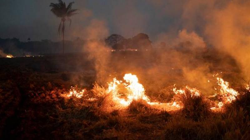 The number of fires in Brazil's Amazon basin is still on the rise, even though the government has banned burning, officials have said. (Photo: File) The number of fires in Brazil's Amazon basin is still on the rise, even though the government has banned burning, officials have said. (Photo: File)