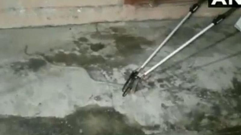A Cobra snake that was found inside a parcel sent through courier service was rescued by the forest department in Odisha's Mayurbhanj on Monday. (Photo: Twitter/ ANI videoscreengrab) A Cobra snake that was found inside a parcel sent through courier service was rescued by the forest department in Odisha's Mayurbhanj on Monday. (Photo: Twitter/ ANI videoscreengrab)