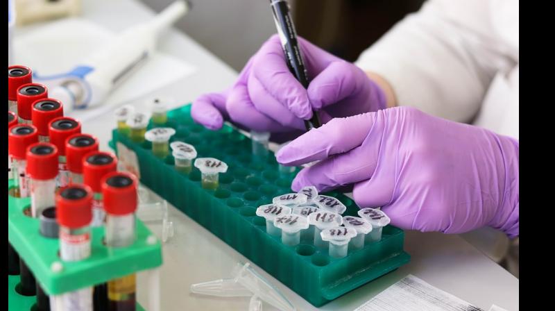 The programme analysed both primary micro-plastics, such as micro-beads used in cosmetics and secondary microplastics. The programme analysed both primary micro-plastics, such as micro-beads used in cosmetics and secondary microplastics.
