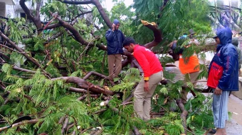 Howling winds that gusted up to 85-90 kmph uprooted electric poles and trees in Katrenikona, Tallarevu and Malkipuram in East Godavari, disrupting power supply. (Photo: ANI) Howling winds that gusted up to 85-90 kmph uprooted electric poles and trees in Katrenikona, Tallarevu and Malkipuram in East Godavari, disrupting power supply. (Photo: ANI)