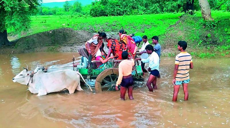 The road connectivity to 15 habitations in Aswapuram, Allapalli, Guadala and Pinapaka mandals were cut off. The road connectivity to 15 habitations in Aswapuram, Allapalli, Guadala and Pinapaka mandals were cut off.