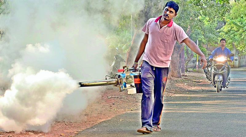 File picture of a municipal worker carrying out anti-larval operations. File picture of a municipal worker carrying out anti-larval operations.