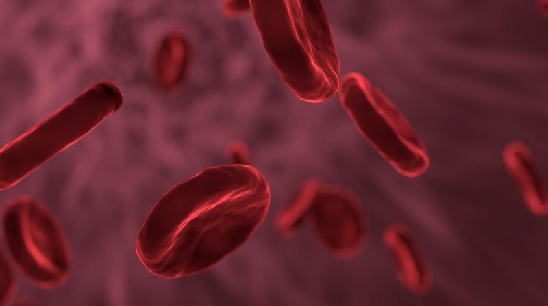 Healthy fat cells uncouple obesity from diabetes. (Photo: Pixabay) Healthy fat cells uncouple obesity from diabetes. (Photo: Pixabay)