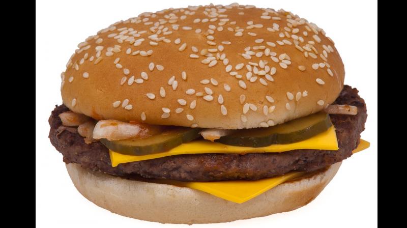Dog pretends to be stray to get hamburgers from McDonald's. (Photo: Pixabay) Dog pretends to be stray to get hamburgers from McDonald's. (Photo: Pixabay)