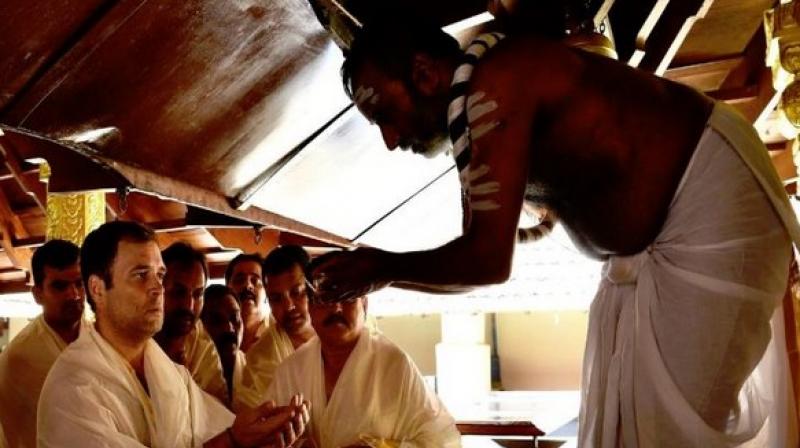 Apart from Wayanad, Gandhi is contesting from the Congress stronghold of Amethi in Uttar Pradesh, where he will face BJP's Smriti Irani. (Photo/Twitter@Rahul Gandhi) Apart from Wayanad, Gandhi is contesting from the Congress stronghold of Amethi in Uttar Pradesh, where he will face BJP's Smriti Irani. (Photo/Twitter@Rahul Gandhi)