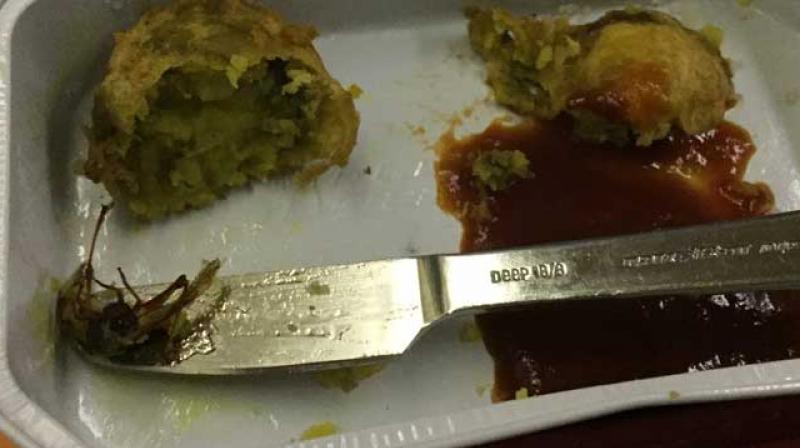 The incident happened in the Chicago-bound flight from Hyderabad via New Delhi. (Photo: Twitter) The incident happened in the Chicago-bound flight from Hyderabad via New Delhi. (Photo: Twitter)