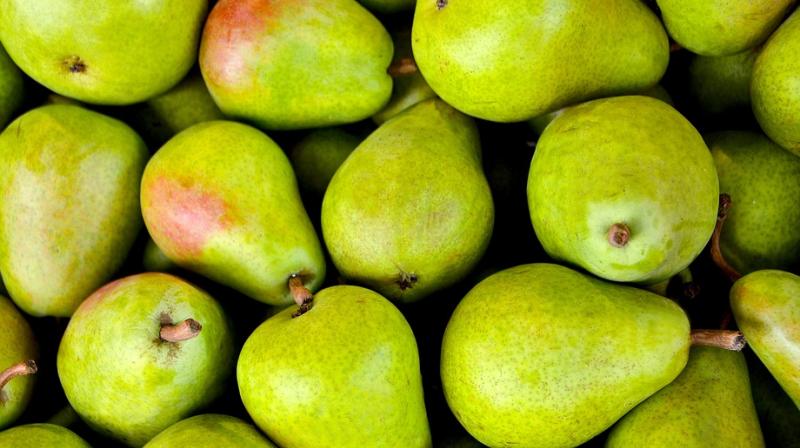 Health benefits of pears. (Photo: Pixabay) Health benefits of pears. (Photo: Pixabay)
