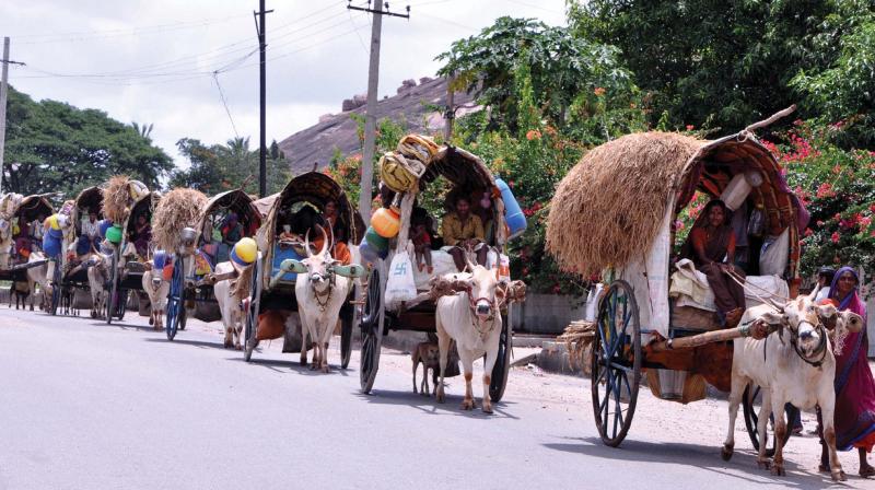 People from a nomadic tribe involved in agriculture migrating from Koppal in view of floods. (Photo: KPN) People from a nomadic tribe involved in agriculture migrating from Koppal in view of floods. (Photo: KPN)