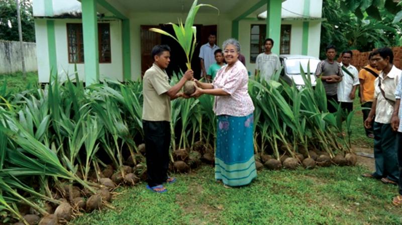 Sister Rose hands over coconut saplings to villagers. Sister Rose hands over coconut saplings to villagers.