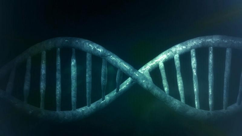 Fathers can pass on ovarian cancer gene to daughters. (Photo Pixabay) Fathers can pass on ovarian cancer gene to daughters. (Photo Pixabay)