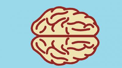 Scientists could soon grow human brains to learn more about Alzheimer's disease. (Photo: Pixabay)