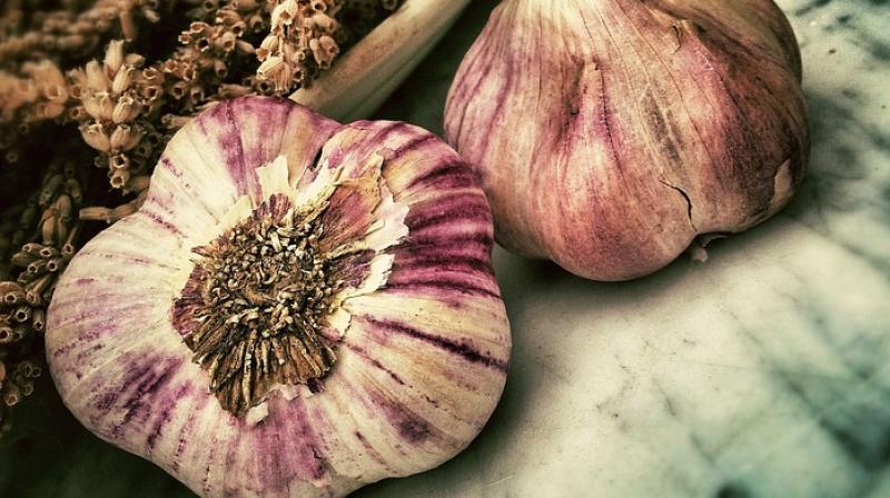Researchers find how garlic could help tackle chronic infections Researchers find how garlic could help tackle chronic infections