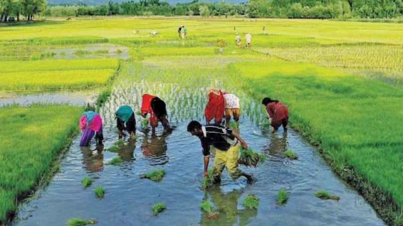 Such issues like farmer suicides and agrarian distress do not mean anything to most of us because we have no real contact with that reality. Such issues like farmer suicides and agrarian distress do not mean anything to most of us because we have no real contact with that reality.