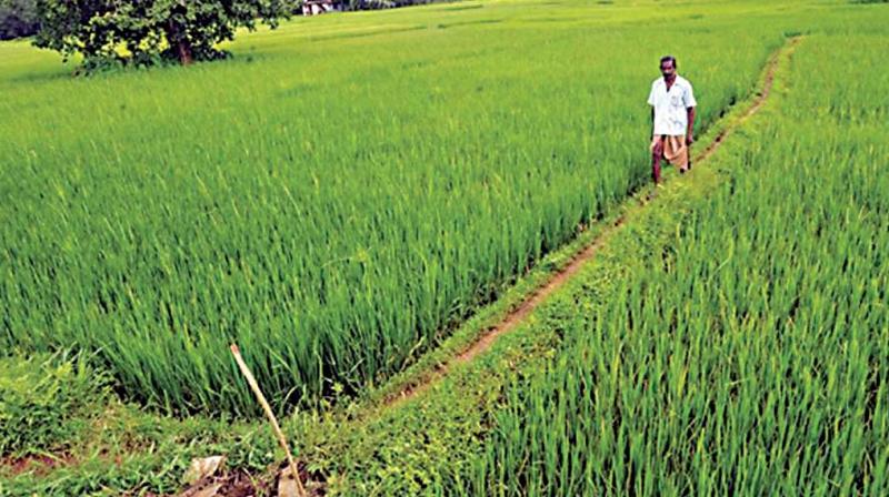 In fact, the Finance Minister said her government has kept "gaon, gareeb and kisan" (villages, poor and farmer) at the centre of every programme. In fact, the Finance Minister said her government has kept "gaon, gareeb and kisan" (villages, poor and farmer) at the centre of every programme.