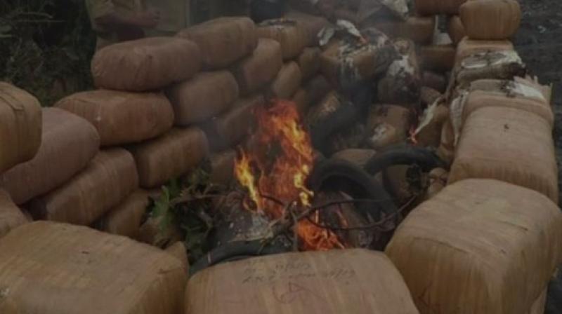 The drugs were destroyed under the surveillance of a High-Level Drug Disposal Committee, with the permission of the district court, said the police. (Photo: ANI) The drugs were destroyed under the surveillance of a High-Level Drug Disposal Committee, with the permission of the district court, said the police. (Photo: ANI)