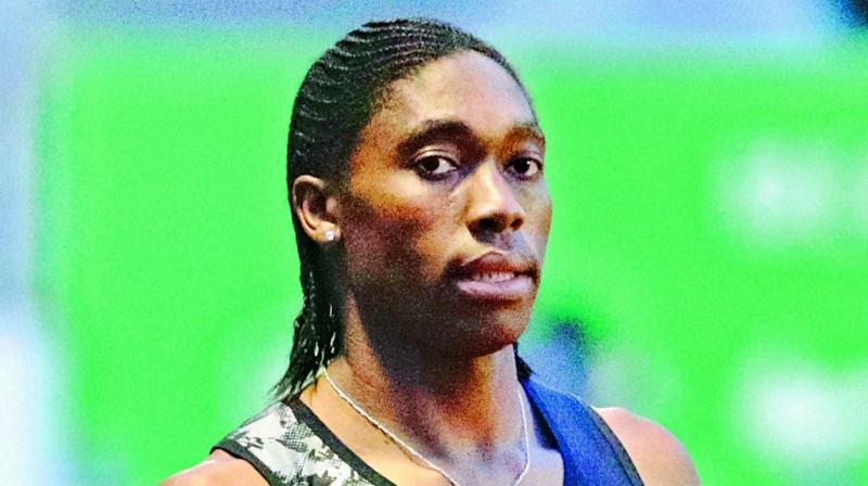 The IAAF used me in the past as a human guinea pig to experiment with how the medication they required me to take would affect my testosterone levels. — Caster Semenya South African runner The IAAF used me in the past as a human guinea pig to experiment with how the medication they required me to take would affect my testosterone levels. — Caster Semenya South African runner