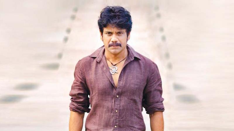 Actor Nagarjuna Actor Nagarjuna