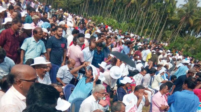 People gather at Keezhattoor paddy field on Sunday to express solidarity with the protesting Vayalkilikal for green cause. (Photo: DECCAN CHRONICLE) People gather at Keezhattoor paddy field on Sunday to express solidarity with the protesting Vayalkilikal for green cause. (Photo: DECCAN CHRONICLE)