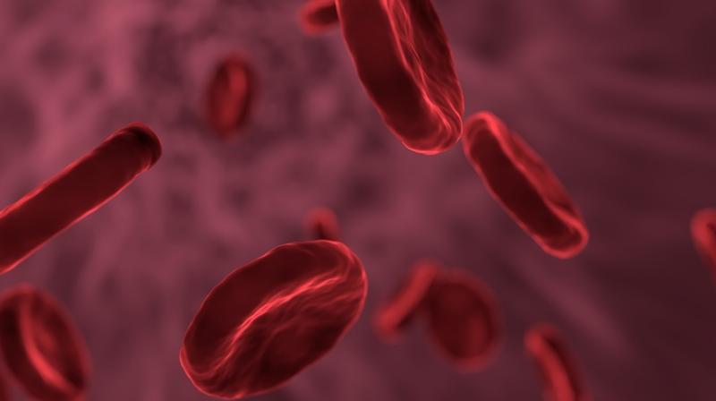Researchers say cellular proliferation keeps HIV infected cells alive. (Photo: Pixabay) Researchers say cellular proliferation keeps HIV infected cells alive. (Photo: Pixabay)