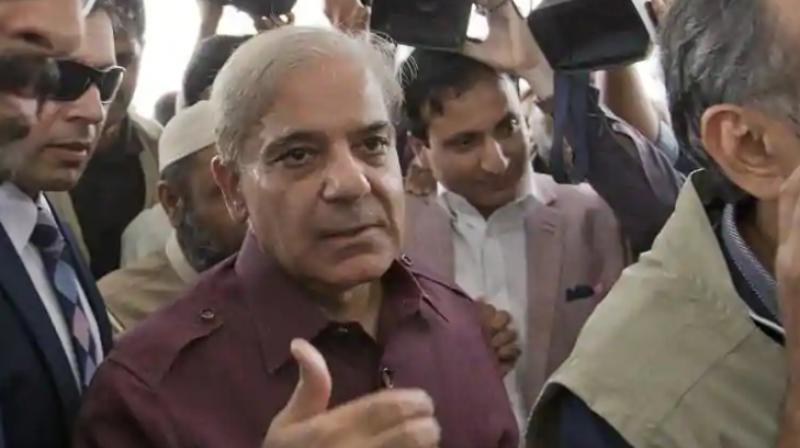 Sharif, the younger brother of jailed former prime minister Nawaz Sharif, served as the chief minister of the politically crucial Punjab province from 2013 to 2018. (Photo: AP) Sharif, the younger brother of jailed former prime minister Nawaz Sharif, served as the chief minister of the politically crucial Punjab province from 2013 to 2018. (Photo: AP)