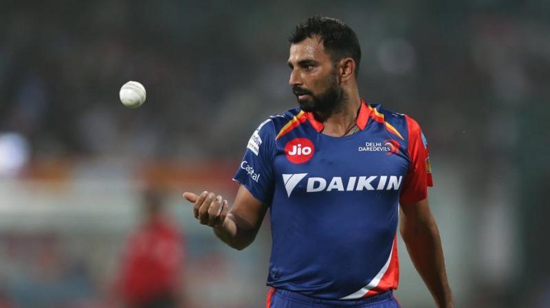 Delhi Daredevils are now awaiting for BCCI's legal opinion about whether they should allow Mohammed Shami to join their camp, which will start at the end of the month. (Photo: BCCI) Delhi Daredevils are now awaiting for BCCI's legal opinion about whether they should allow Mohammed Shami to join their camp, which will start at the end of the month. (Photo: BCCI)