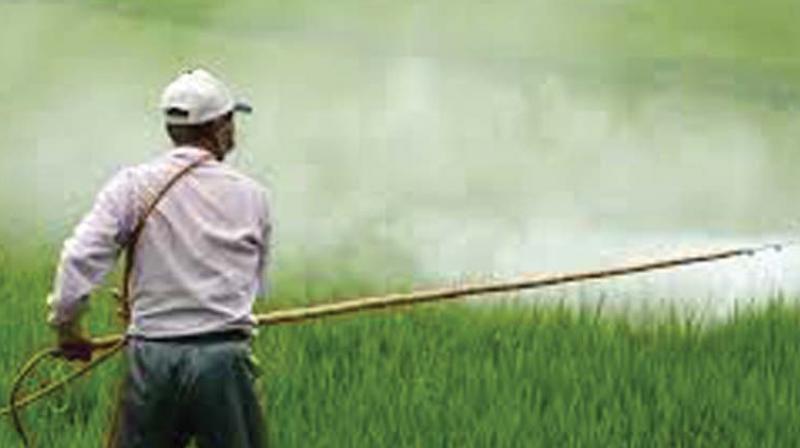 This year, Rs 2 crore would be utilised for enforcing Good Agricultural Practice (GAP) in Kuttanad region alone. This year, Rs 2 crore would be utilised for enforcing Good Agricultural Practice (GAP) in Kuttanad region alone.