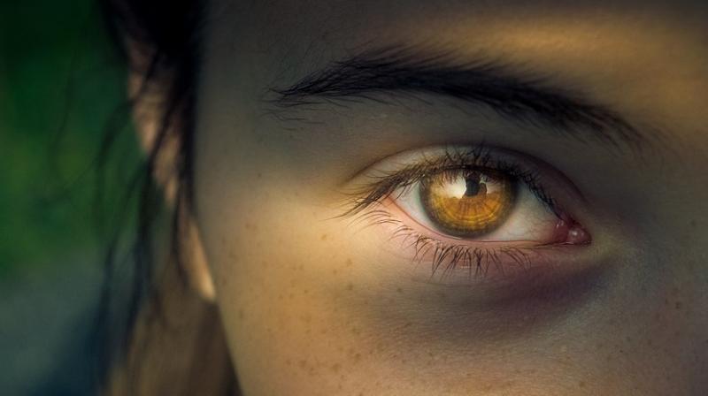 Researchers discover link between Alzheimer's and eye diseases . (Photo: Pixabay) Researchers discover link between Alzheimer's and eye diseases . (Photo: Pixabay)