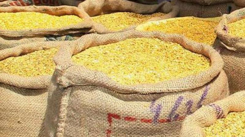 At present, only organic pulses and kabuli chana are allowed to be shipped in a limited quantity. (Photo: File) At present, only organic pulses and kabuli chana are allowed to be shipped in a limited quantity. (Photo: File)