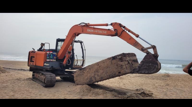 Massive wooden log washes ashore at Vizag beach