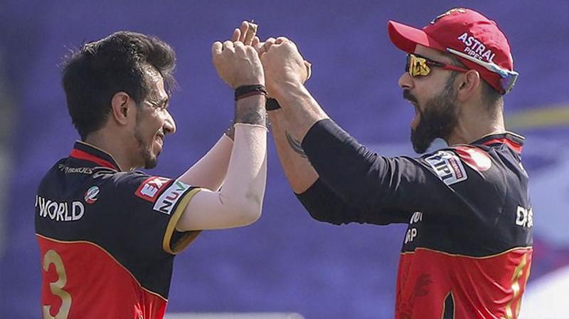 Royal Challengers Bangalore bowler Yuzvendra Chahal with skipper Virat Kohli celebrates the wicket of Robin Uthappa of Rajasthan Royals during their IPL 2020 cricket match, at Sheikh Zayed Stadium in Abu Dhabi, United Arab Emirates, Saturday, Oct. 3, 2020. (Photo | PTI)