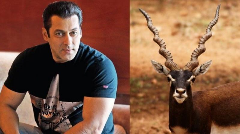 Image result for Salman Khan blackbuck