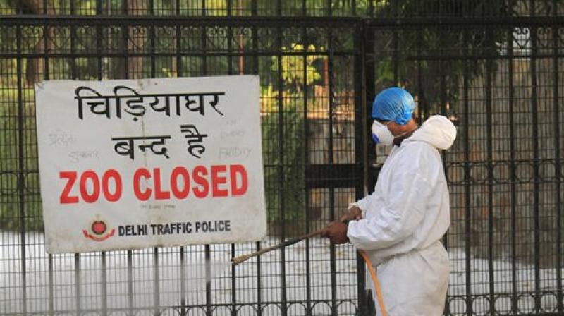 A Zoo staff member covers his face while spraying chemicals to prevent the Bird Flu (H5N1 avian influenza virus) at Delhi Zoo. (Photo: PTI) A Zoo staff member covers his face while spraying chemicals to prevent the Bird Flu (H5N1 avian influenza virus) at Delhi Zoo. (Photo: PTI)