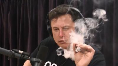 Elon Musk offered $150,000 for porn role: Report