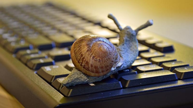 In 2019, 20 percent of the active population in Greece had no access to the Internet, nearly double the EU average of 10 percent according to Eurostat figures. Greece has been criticised for its snail's pace in going digital. In 2019, 20 percent of the active population in Greece had no access to the Internet, nearly double the EU average of 10 percent according to Eurostat figures. Greece has been criticised for its snail's pace in going digital.