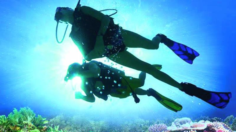 Diving can be experienced even from a depth of one metre. Diving can be experienced even from a depth of one metre.