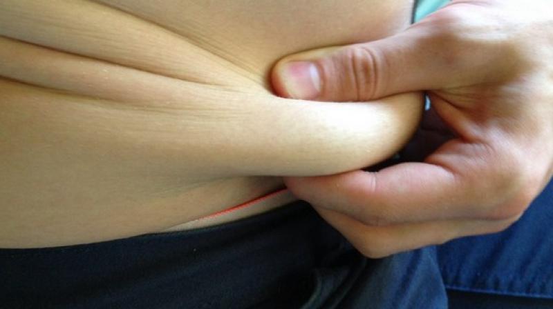 Researchers discovered that brown fat secretes more than 100 proteins that are not secreted by white fat. (Photo: ANI)