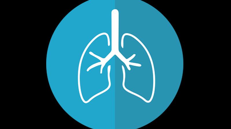 Allergen immunotherapy (allergy vaccination) is an important therapeutic tool for the management of Combined Allergic Rhinitis and Asthma Syndrome. (Photo: Representational/PIxabay)