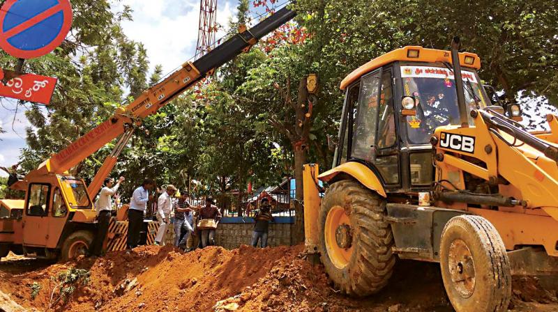 Trees being translocated on Jayamahal Road on Thursday (Photo:DC) Trees being translocated on Jayamahal Road on Thursday (Photo:DC)