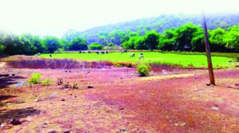 During the land record purification drive recently undertaken by the revenue department, officials found that 10.37 lakh acres of land in the state was under dispute. During the land record purification drive recently undertaken by the revenue department, officials found that 10.37 lakh acres of land in the state was under dispute.