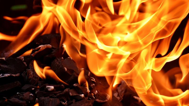 After catching the siblings, the neighbours yelled at the mother urging her to jump, but the woman gradually passed out as smoke billowed out of their apartment. (Photo: Pixabay) After catching the siblings, the neighbours yelled at the mother urging her to jump, but the woman gradually passed out as smoke billowed out of their apartment. (Photo: Pixabay)