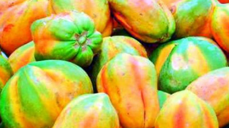 Officials of the vigilance and enforcement in association with food safety officials raided a fruits godown and seized four tonnes of artificially ripened papayas at Seethampeta area in Vizag city. Officials of the vigilance and enforcement in association with food safety officials raided a fruits godown and seized four tonnes of artificially ripened papayas at Seethampeta area in Vizag city.