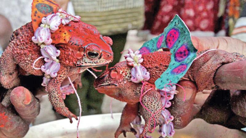 Self mutilation by the devotees is regarded as an apology for their wrongdoings or sins. Self mutilation by the devotees is regarded as an apology for their wrongdoings or sins.