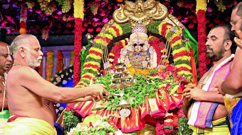 Pavitrotsavams: Purification ritual commences at Sri Padmavati Ammavari temple
