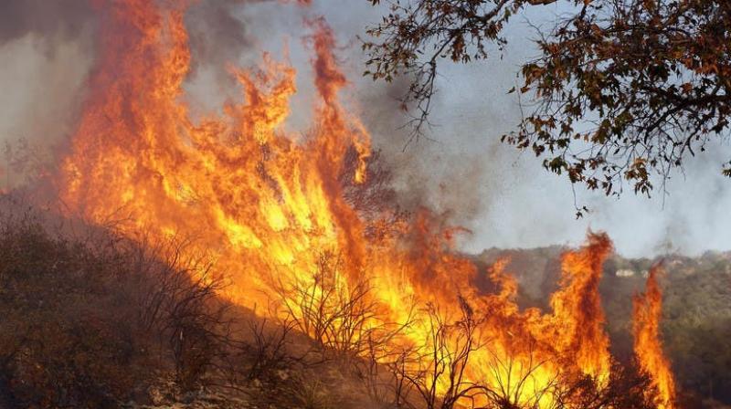 Firefighters were working to stop the blaze reaching nearby villages. (Photo: Representational Image/AP) Firefighters were working to stop the blaze reaching nearby villages. (Photo: Representational Image/AP)