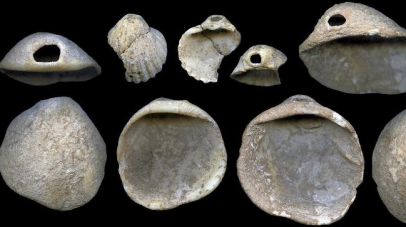 The image provided by Joao Zilhao in February 2018 shows perforated shells found in sediments in the Cueva de los Aviones near Cartagena, Spain. The artifacts date to between 115,000 and 120,000 years ago. The image provided by Joao Zilhao in February 2018 shows perforated shells found in sediments in the Cueva de los Aviones near Cartagena, Spain. The artifacts date to between 115,000 and 120,000 years ago.